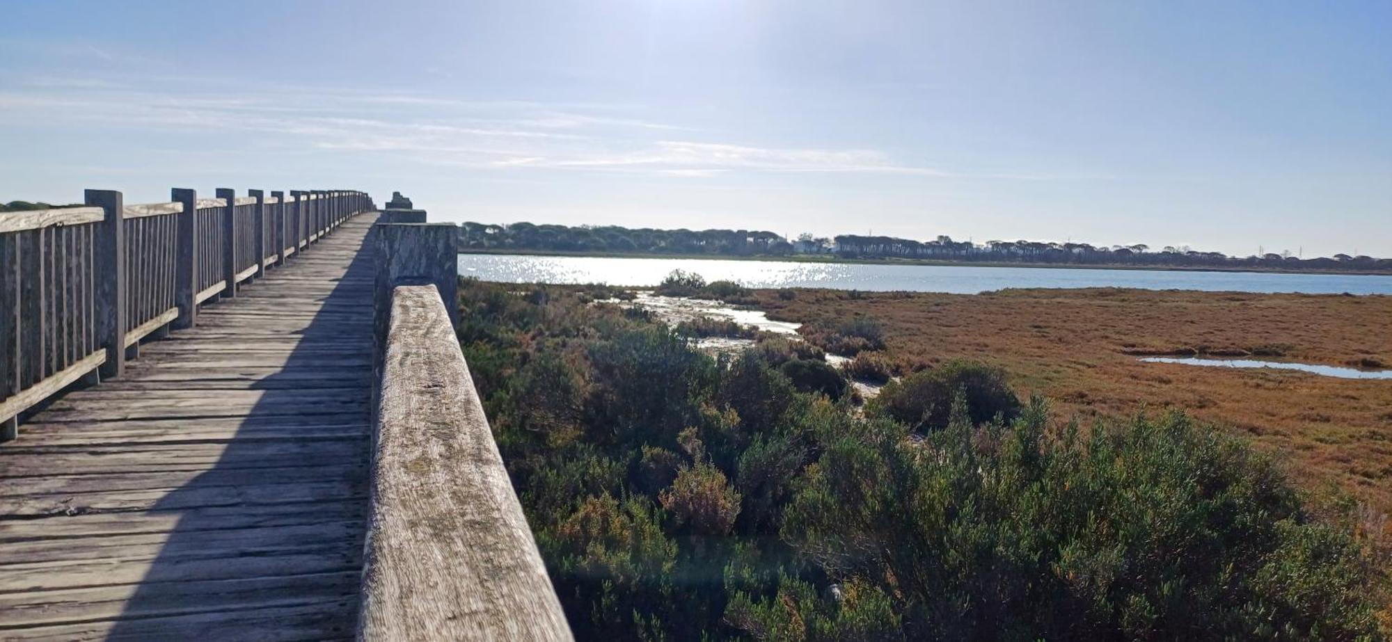 Apartamento Primera Linea De Playa Valdelagrana El Puerto de Santa María Extérieur photo
