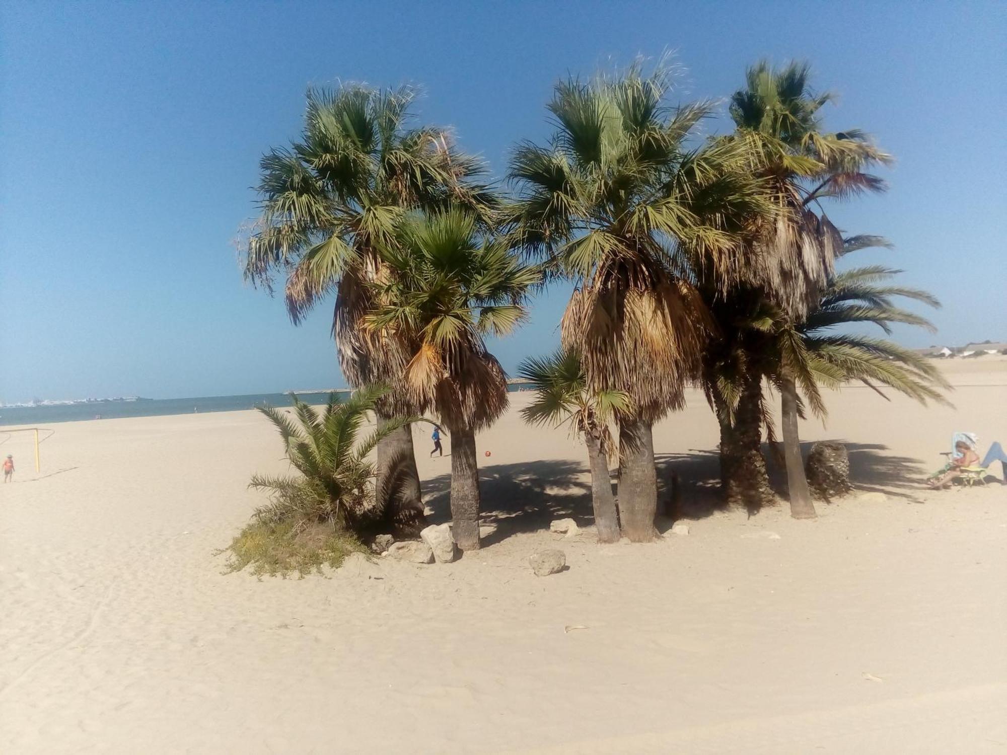 Apartamento Primera Linea De Playa Valdelagrana El Puerto de Santa María Extérieur photo